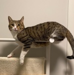 С новым отопительным сезоном! С новым отопительным сезоном!